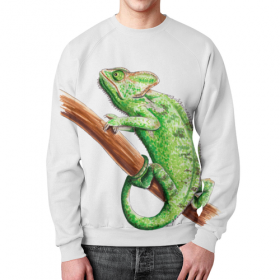 full_print_sweatshirt с принтом Зеленый хамелеон на ветке в Тюмени,  |  | Тематика изображения на принте: 