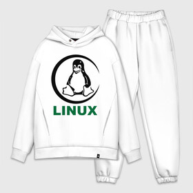 Мужской костюм хлопок OVERSIZE с принтом Linux в Тюмени,  |  | пингвин