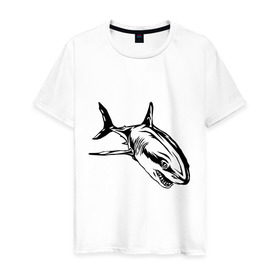Мужская футболка хлопок с принтом Акула в Тюмени, 100% хлопок | прямой крой, круглый вырез горловины, длина до линии бедер, слегка спущенное плечо. | shark | акула | животные | рыба | хищник