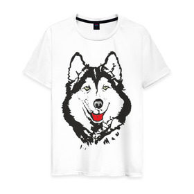 Мужская футболка хлопок с принтом Хаски в Тюмени, 100% хлопок | прямой крой, круглый вырез горловины, длина до линии бедер, слегка спущенное плечо. | dog | husky | животные | пес | песики | собака | хаски | хаски бандит