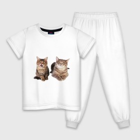 Детская пижама хлопок с принтом Котёнок и кошка в Тюмени, 100% хлопок |  брюки и футболка прямого кроя, без карманов, на брюках мягкая резинка на поясе и по низу штанин
 | киса | котенок | котик | кошка