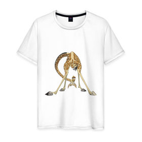 Мужская футболка хлопок с принтом Мадагаскар (3) в Тюмени, 100% хлопок | прямой крой, круглый вырез горловины, длина до линии бедер, слегка спущенное плечо. | Тематика изображения на принте: madagascar | жираф | мадагаскар