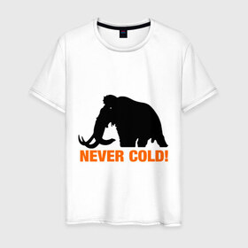 Мужская футболка хлопок с принтом Mamont never cold! в Тюмени, 100% хлопок | прямой крой, круглый вырез горловины, длина до линии бедер, слегка спущенное плечо. | mamont never cold | животные | мамонт не мерзнет | мамонты | холод
