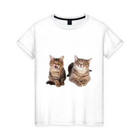 Женская футболка хлопок с принтом Кошка и котёнок в Тюмени, 100% хлопок | прямой крой, круглый вырез горловины, длина до линии бедер, слегка спущенное плечо | 