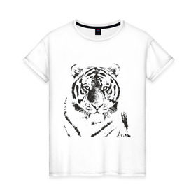 Женская футболка хлопок с принтом Tiger (3) в Тюмени, 100% хлопок | прямой крой, круглый вырез горловины, длина до линии бедер, слегка спущенное плечо | tiger | животные | тигр | хищник