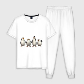 Мужская пижама хлопок с принтом Пингвины Мадагаскар в Тюмени, 100% хлопок | брюки и футболка прямого кроя, без карманов, на брюках мягкая резинка на поясе и по низу штанин
 | пингвин