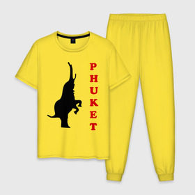 Мужская пижама хлопок с принтом Phuket (5) в Тюмени, 100% хлопок | брюки и футболка прямого кроя, без карманов, на брюках мягкая резинка на поясе и по низу штанин
 | 