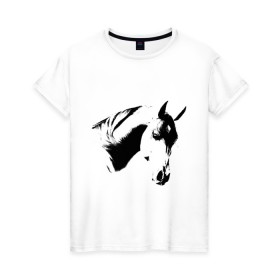 Женская футболка хлопок с принтом Лошадь черно-белая (5) в Тюмени, 100% хлопок | прямой крой, круглый вырез горловины, длина до линии бедер, слегка спущенное плечо | конь | лошадка | лошадь | лошадь черно белая