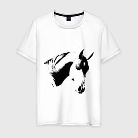 Мужская футболка хлопок с принтом Лошадь черно-белая (5) в Тюмени, 100% хлопок | прямой крой, круглый вырез горловины, длина до линии бедер, слегка спущенное плечо. | конь | лошадка | лошадь | лошадь черно белая