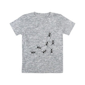 Детская футболка хлопок с принтом муравьи в Тюмени, 100% хлопок | круглый вырез горловины, полуприлегающий силуэт, длина до линии бедер | животные | звери | насекомые