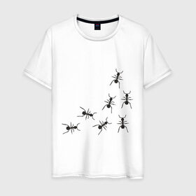 Мужская футболка хлопок с принтом муравьи в Тюмени, 100% хлопок | прямой крой, круглый вырез горловины, длина до линии бедер, слегка спущенное плечо. | животные | звери | насекомые