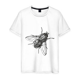 Мужская футболка хлопок с принтом Назойливая муха в Тюмени, 100% хлопок | прямой крой, круглый вырез горловины, длина до линии бедер, слегка спущенное плечо. | животные | муха | назойливая | назойливая муха | прикольные картинки