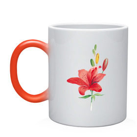 Кружка хамелеон с принтом Red lily в Тюмени, керамика | меняет цвет при нагревании, емкость 330 мл | Тематика изображения на принте: 8 марта | букет | красная лилия | лилия | международный женский день | цветы