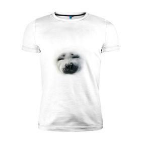 Мужская футболка премиум с принтом Пушистый морской котик в Тюмени, 92% хлопок, 8% лайкра | приталенный силуэт, круглый вырез ворота, длина до линии бедра, короткий рукав | животные | звери | мордочка | нос