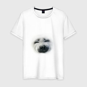 Мужская футболка хлопок с принтом Пушистый морской котик в Тюмени, 100% хлопок | прямой крой, круглый вырез горловины, длина до линии бедер, слегка спущенное плечо. | животные | звери | мордочка | нос