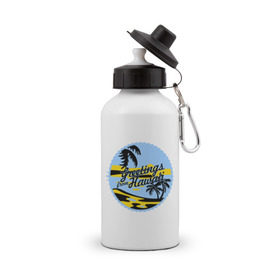 Бутылка спортивная с принтом Greetings from Hawaii в Тюмени, металл | емкость — 500 мл, в комплекте две пластиковые крышки и карабин для крепления | летние | лето | на лето | серфинг