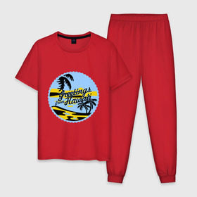 Мужская пижама хлопок с принтом Greetings from Hawaii в Тюмени, 100% хлопок | брюки и футболка прямого кроя, без карманов, на брюках мягкая резинка на поясе и по низу штанин
 | летние | лето | на лето | серфинг