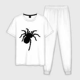 Мужская пижама хлопок с принтом Паук (spider) в Тюмени, 100% хлопок | брюки и футболка прямого кроя, без карманов, на брюках мягкая резинка на поясе и по низу штанин
 | Тематика изображения на принте: насекомые | паутина | паучок | черная вдова | черный паук