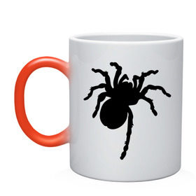 Кружка хамелеон с принтом Паук (spider) в Тюмени, керамика | меняет цвет при нагревании, емкость 330 мл | Тематика изображения на принте: насекомые | паутина | паучок | черная вдова | черный паук