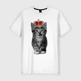 Мужская футболка премиум с принтом Meow kitten в Тюмени, 92% хлопок, 8% лайкра | приталенный силуэт, круглый вырез ворота, длина до линии бедра, короткий рукав | kitten | meow | meow kitten | киса | кот | котик | котэ | котяра | кошка | прикольный кот