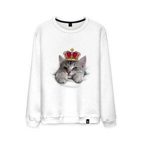 Мужской свитшот хлопок с принтом Pretty kitten в Тюмени, 100% хлопок |  | kitten | meow | meow kitten | киса | корона | корона на голове кота | кот | кот с короной | котик | котэ | котяра | кошка | прикольный кот