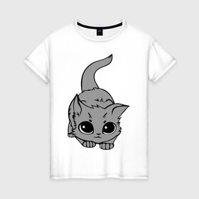 Женская футболка хлопок с принтом Котенок в Тюмени, 100% хлопок | прямой крой, круглый вырез горловины, длина до линии бедер, слегка спущенное плечо | домашние животные | кот | коты | кошка | кошки