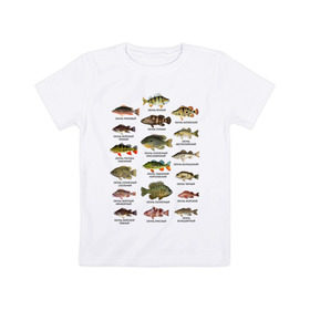 Детская футболка хлопок с принтом Окуни. в Тюмени, 100% хлопок | круглый вырез горловины, полуприлегающий силуэт, длина до линии бедер | для рыбака | окуни | окунь | подарок рыбаку | рыбаку | рыбалка