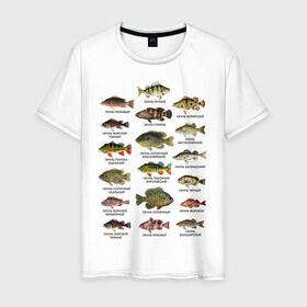Мужская футболка хлопок с принтом Окуни. в Тюмени, 100% хлопок | прямой крой, круглый вырез горловины, длина до линии бедер, слегка спущенное плечо. | Тематика изображения на принте: для рыбака | окуни | окунь | подарок рыбаку | рыбаку | рыбалка