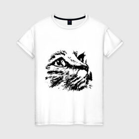 Женская футболка хлопок с принтом Образ кошки в Тюмени, 100% хлопок | прямой крой, круглый вырез горловины, длина до линии бедер, слегка спущенное плечо | Тематика изображения на принте: киса | котенок | кошка