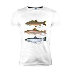 Мужская футболка премиум с принтом Лососевые в Тюмени, 92% хлопок, 8% лайкра | приталенный силуэт, круглый вырез ворота, длина до линии бедра, короткий рукав | горбуша | кижуч | рыба | рыбалка | рыбачить | туризм | туристические | туристу | улов | форель