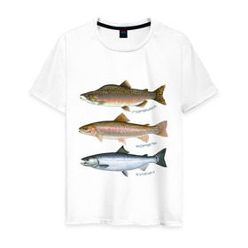 Мужская футболка хлопок с принтом Лососевые в Тюмени, 100% хлопок | прямой крой, круглый вырез горловины, длина до линии бедер, слегка спущенное плечо. | горбуша | кижуч | рыба | рыбалка | рыбачить | туризм | туристические | туристу | улов | форель