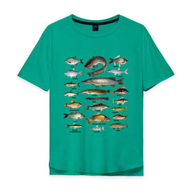 Мужская футболка хлопок Oversize с принтом Популярные виды рыб в Тюмени, 100% хлопок | свободный крой, круглый ворот, “спинка” длиннее передней части | рыба | рыбалка | рыбачить | туризм | туристические | туристу | улов