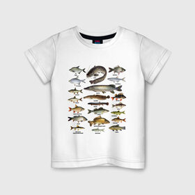 Детская футболка хлопок с принтом Популярные виды рыб в Тюмени, 100% хлопок | круглый вырез горловины, полуприлегающий силуэт, длина до линии бедер | рыба | рыбалка | рыбачить | туризм | туристические | туристу | улов