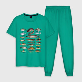 Мужская пижама хлопок с принтом Популярные виды рыб в Тюмени, 100% хлопок | брюки и футболка прямого кроя, без карманов, на брюках мягкая резинка на поясе и по низу штанин
 | рыба | рыбалка | рыбачить | туризм | туристические | туристу | улов