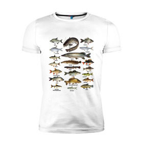 Мужская футболка премиум с принтом Популярные виды рыб в Тюмени, 92% хлопок, 8% лайкра | приталенный силуэт, круглый вырез ворота, длина до линии бедра, короткий рукав | Тематика изображения на принте: рыба | рыбалка | рыбачить | туризм | туристические | туристу | улов