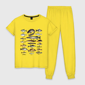 Женская пижама хлопок с принтом Популярные виды рыб в Тюмени, 100% хлопок | брюки и футболка прямого кроя, без карманов, на брюках мягкая резинка на поясе и по низу штанин | рыба | рыбалка | рыбачить | туризм | туристические | туристу | улов