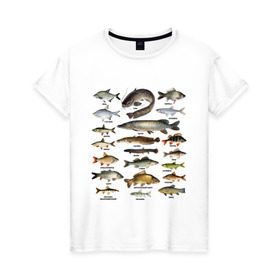 Женская футболка хлопок с принтом Популярные виды рыб в Тюмени, 100% хлопок | прямой крой, круглый вырез горловины, длина до линии бедер, слегка спущенное плечо | рыба | рыбалка | рыбачить | туризм | туристические | туристу | улов