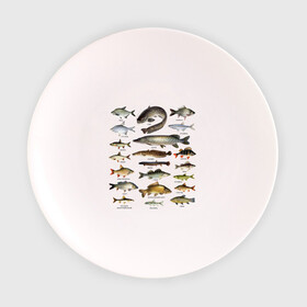 Тарелка 3D с принтом Популярные виды рыб в Тюмени, фарфор | диаметр - 210 мм
диаметр для нанесения принта - 120 мм | рыба | рыбалка | рыбачить | туризм | туристические | туристу | улов