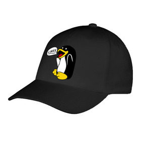 Бейсболка с принтом Пингвин: Linux в Тюмени, 100% хлопок | классический козырек, металлическая застежка-регулятор размера | Тематика изображения на принте: пингвин