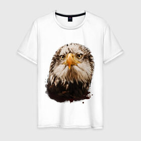 Мужская футболка хлопок с принтом Орел в Тюмени, 100% хлопок | прямой крой, круглый вырез горловины, длина до линии бедер, слегка спущенное плечо. | голова | голова орла | кавказ | кавказец | орёл | птица | птичка
