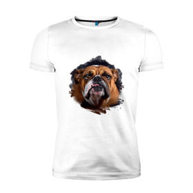 Мужская футболка премиум с принтом Бульдог в Тюмени, 92% хлопок, 8% лайкра | приталенный силуэт, круглый вырез ворота, длина до линии бедра, короткий рукав | animals | dog | mountain | бульдог | животные | прикольные картинки | собака