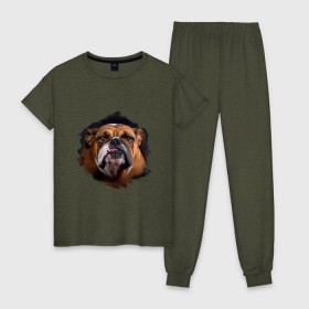 Женская пижама хлопок с принтом Бульдог в Тюмени, 100% хлопок | брюки и футболка прямого кроя, без карманов, на брюках мягкая резинка на поясе и по низу штанин | animals | dog | mountain | бульдог | животные | прикольные картинки | собака