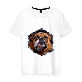 Мужская футболка хлопок с принтом Бульдог в Тюмени, 100% хлопок | прямой крой, круглый вырез горловины, длина до линии бедер, слегка спущенное плечо. | Тематика изображения на принте: animals | dog | mountain | бульдог | животные | прикольные картинки | собака