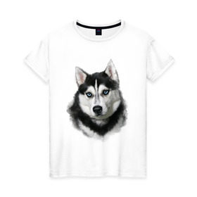 Женская футболка хлопок с принтом Хаски в Тюмени, 100% хлопок | прямой крой, круглый вырез горловины, длина до линии бедер, слегка спущенное плечо | animals | dog | mountain | животные | прикольные картинки | собака | хаски