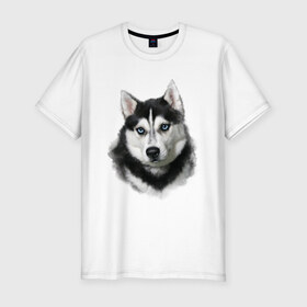 Мужская футболка премиум с принтом Хаски в Тюмени, 92% хлопок, 8% лайкра | приталенный силуэт, круглый вырез ворота, длина до линии бедра, короткий рукав | animals | dog | mountain | животные | прикольные картинки | собака | хаски