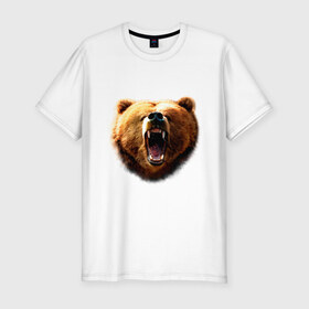 Мужская футболка премиум с принтом Медведь в Тюмени, 92% хлопок, 8% лайкра | приталенный силуэт, круглый вырез ворота, длина до линии бедра, короткий рукав | animals | bear | mountain | животные | медведь | прикольные картинки
