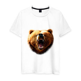 Мужская футболка хлопок с принтом Медведь в Тюмени, 100% хлопок | прямой крой, круглый вырез горловины, длина до линии бедер, слегка спущенное плечо. | animals | bear | mountain | животные | медведь | прикольные картинки
