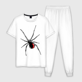 Мужская пижама хлопок с принтом Черная вдова в Тюмени, 100% хлопок | брюки и футболка прямого кроя, без карманов, на брюках мягкая резинка на поясе и по низу штанин
 | паук | тарантул | черная вдова | черная вдованасекомые