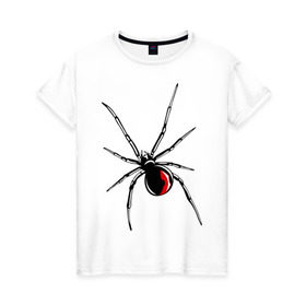 Женская футболка хлопок с принтом Черная вдова в Тюмени, 100% хлопок | прямой крой, круглый вырез горловины, длина до линии бедер, слегка спущенное плечо | паук | тарантул | черная вдова | черная вдованасекомые