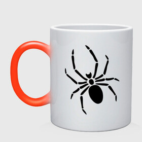 Кружка хамелеон с принтом Страшный паук в Тюмени, керамика | меняет цвет при нагревании, емкость 330 мл | насекомые | паук | паук на спине | страшный паук | тарантул